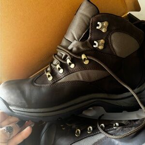 Timberland Dark Brown Men's Boots